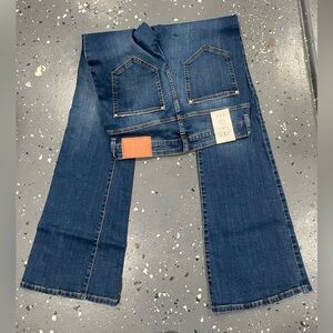 Zara Dark Blue Flare Jeans